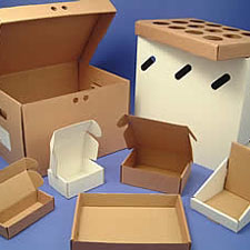 die cut boxes