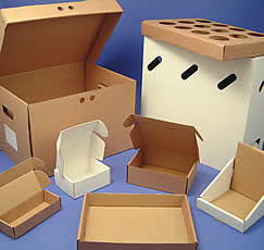Die-cut cardboard boxes